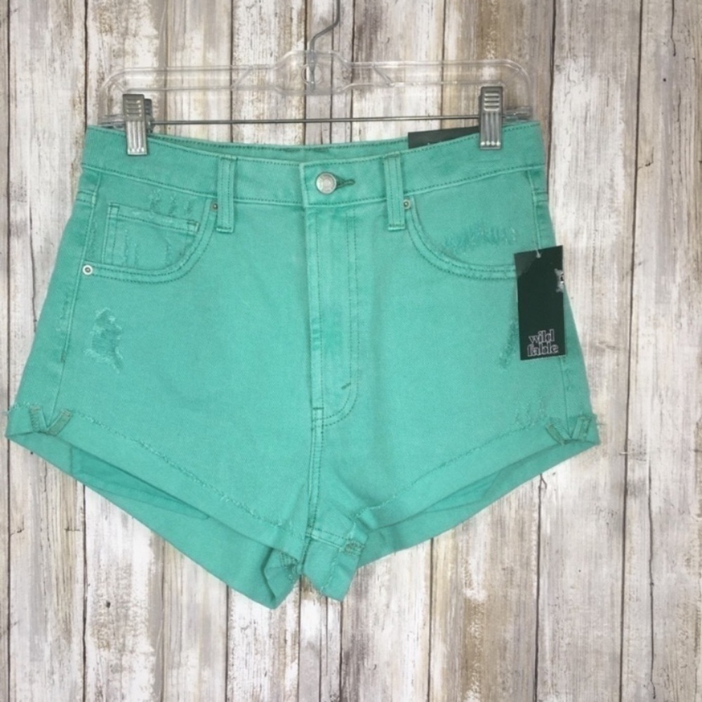 NWT Wild Fable Green High Rise Cheeky Shorts